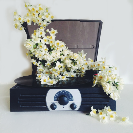    Follow our studio playlist on Spotify ‘FLORAFOLK // Studio Playlist’. Many flower parties listening to these tunes. There’s just one rule- DANCE.  Floral Installation:  FloraFolk