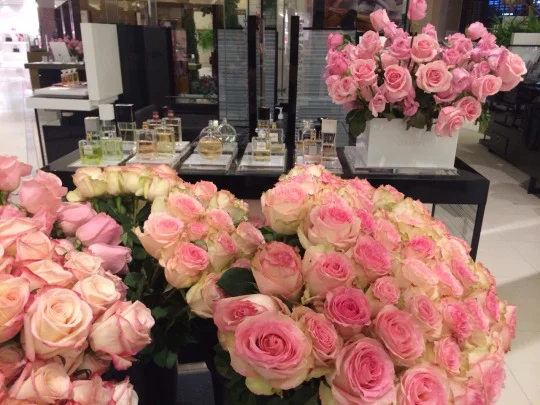 FloraFolk Wedding Florist Sydney David Jones Flower Show 3