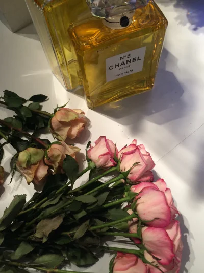 FloraFolk Wedding Florist Sydney David Jones Flower Show 2