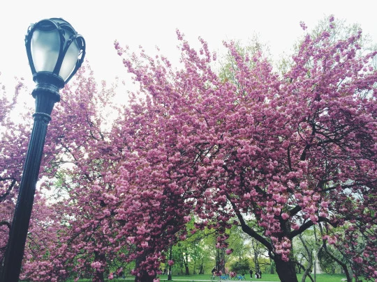 tumblr_n52azysN7M1sgqr6xo8_1280.jpg