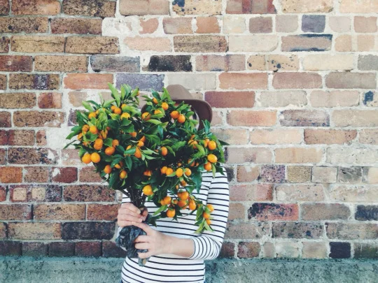 If you love flowers, like me, then this is the place for you. Here I will be sharing my journey and love for FLORA! 