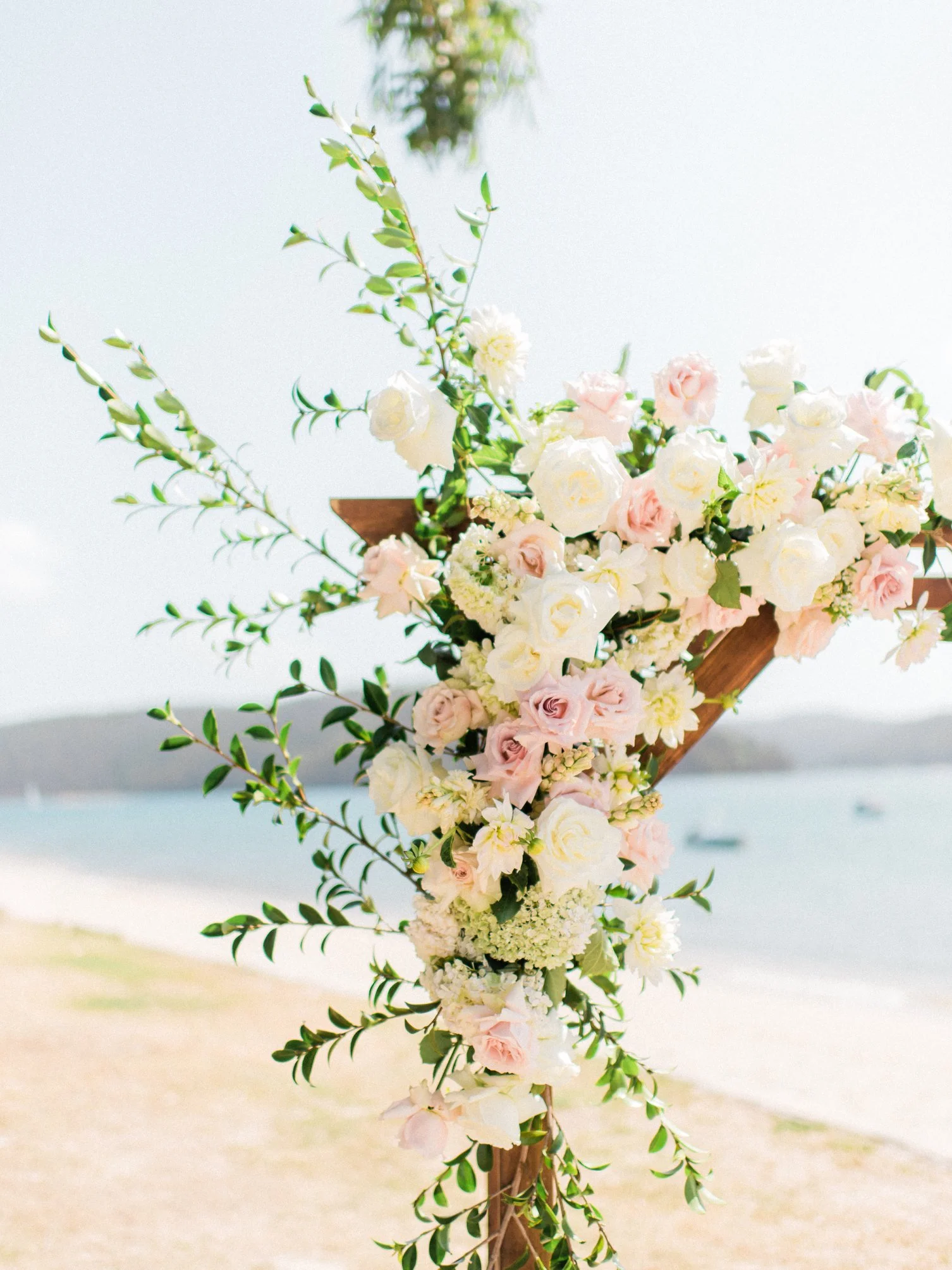 29749508_10155436814130980_916064816585539473_o (1) (1).jpg