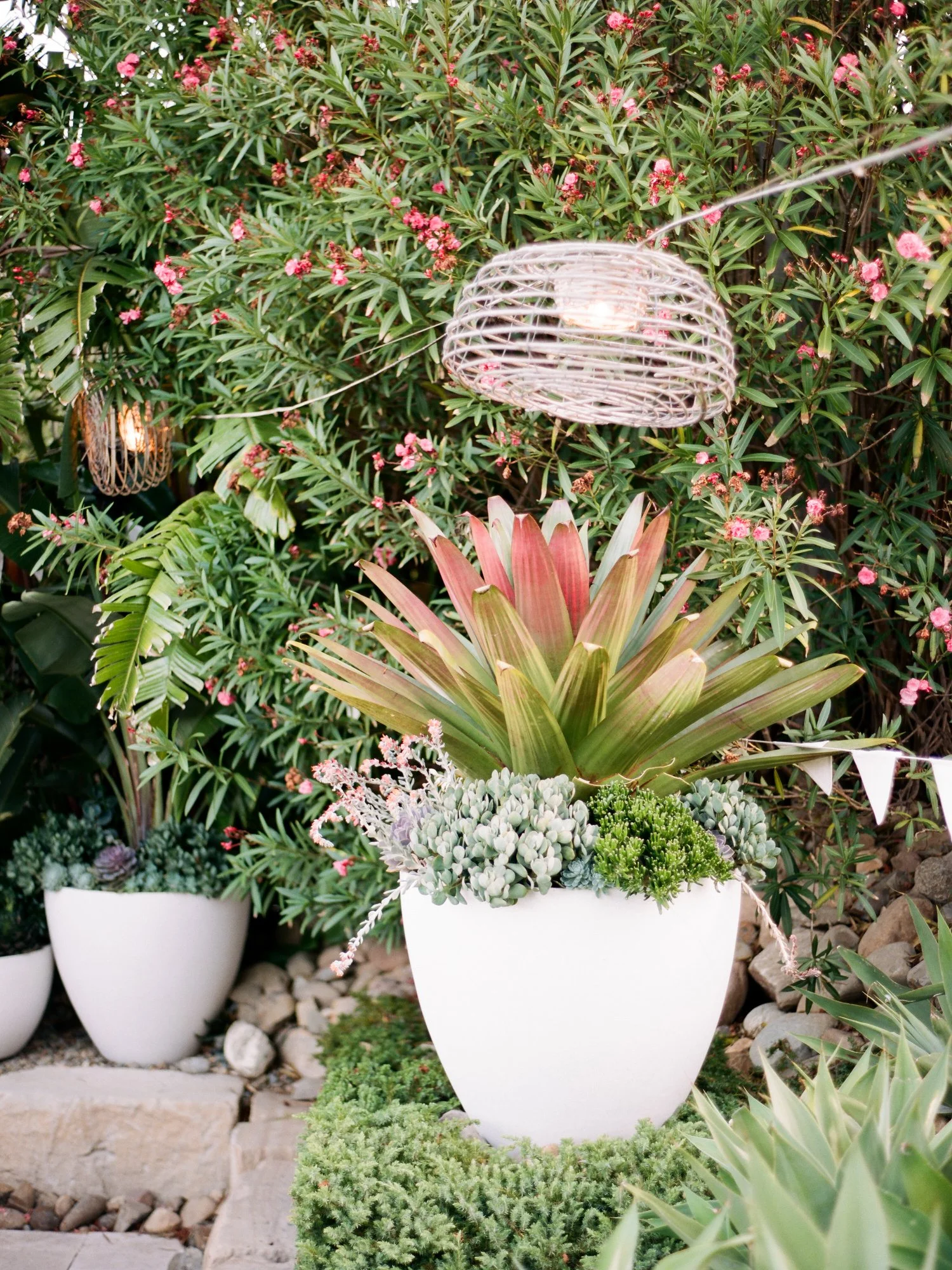 29355237_10155438056640980_1970270760087757827_o (1).jpg