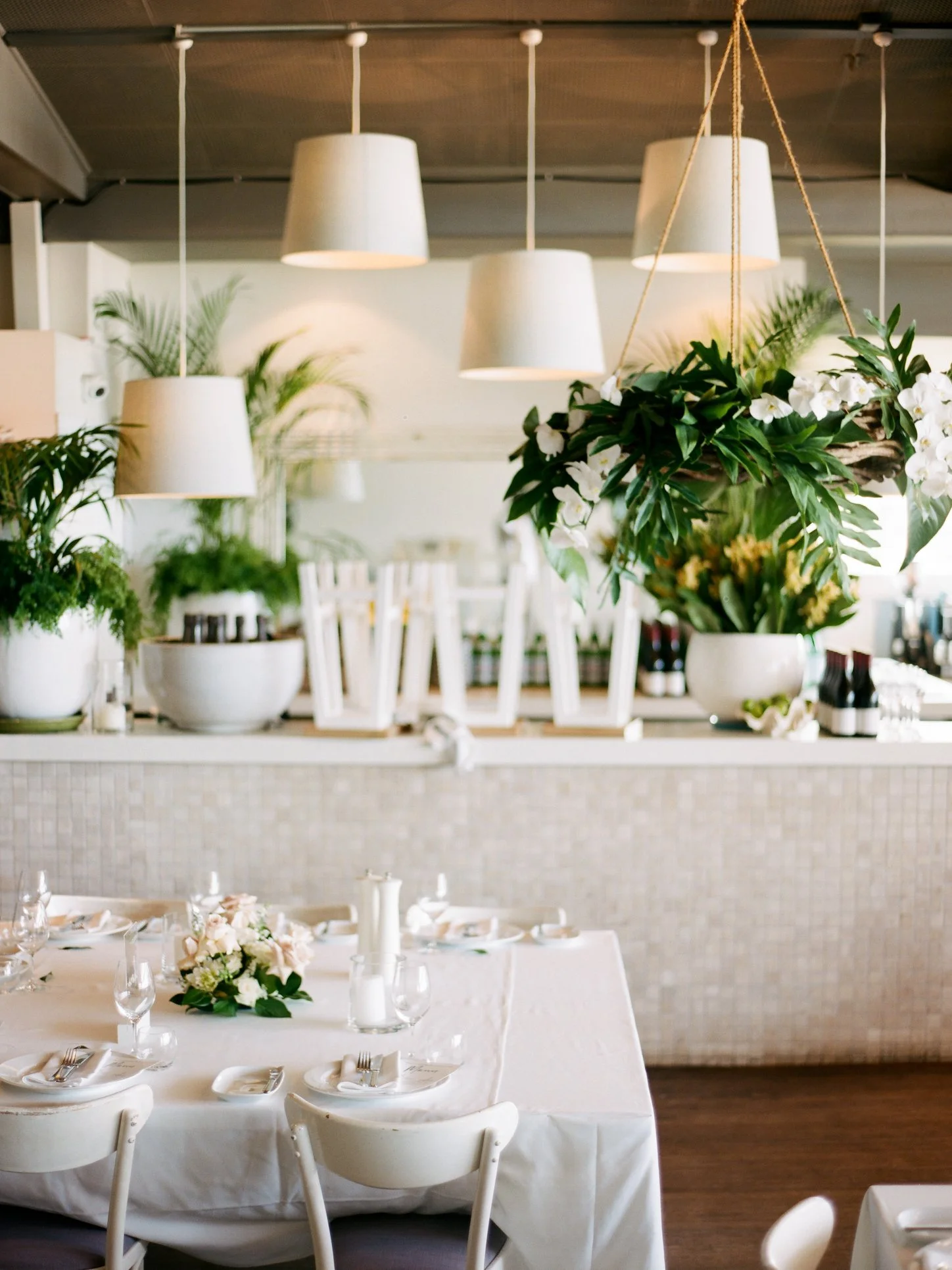 29354676_10155436856430980_3285117874896422356_o (1).jpg