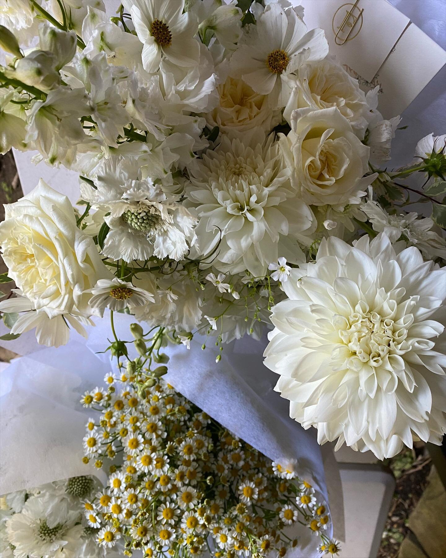 Garden style bouquet for Paige complimented with minimal bridesmaid posies crafted with a selection of varying blooms from the bridal bouquet giving each maid their own unique touch and creating a beautiful dynamic look 🕊️