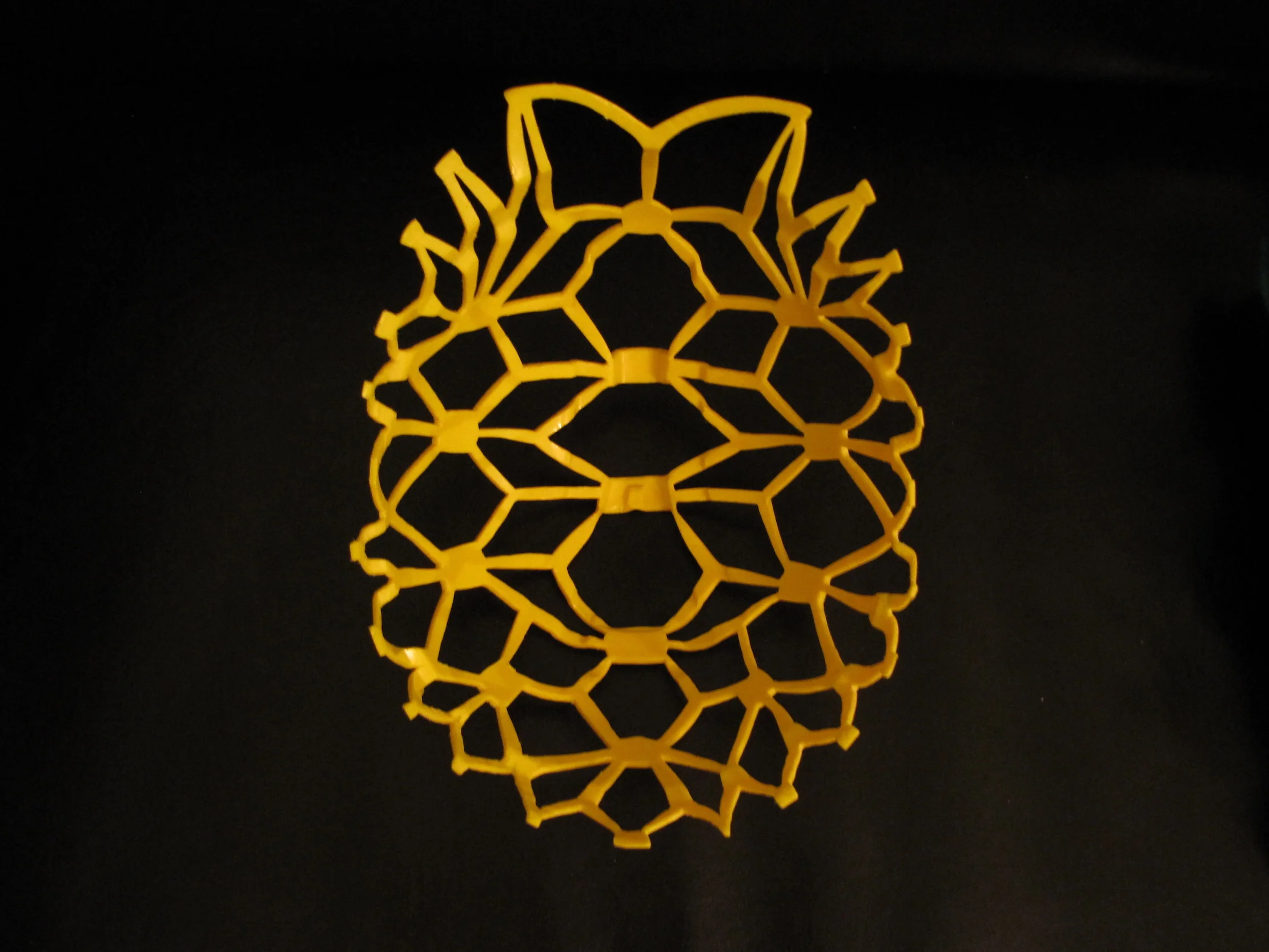   Geochelone Platynota  