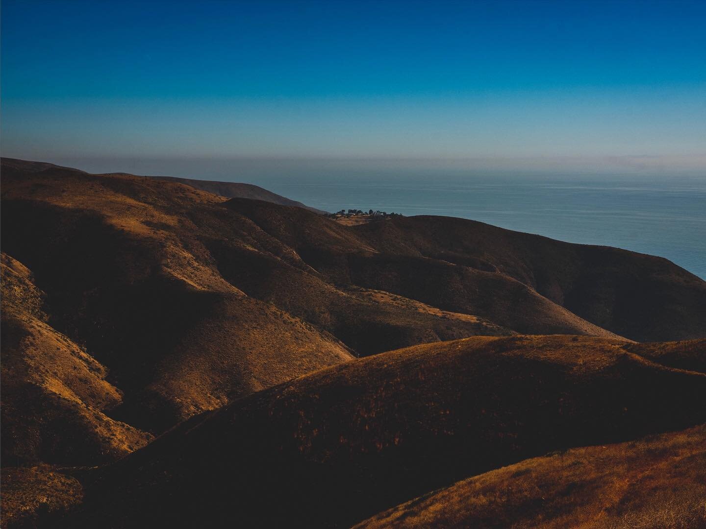 Malibu, CA 🌅 #tommynlancelandscapes
