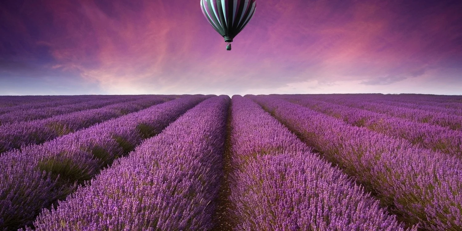 purple-nature.jpg