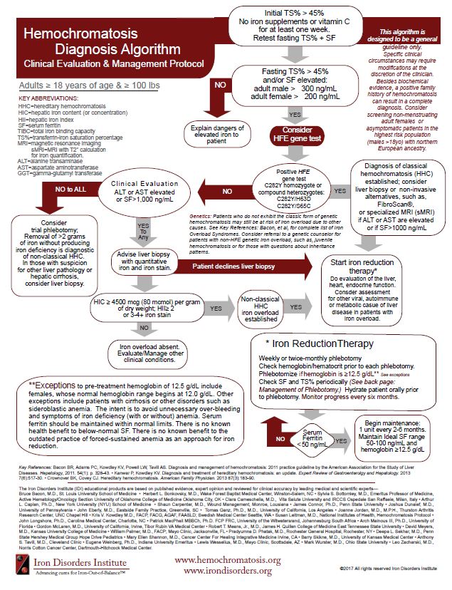 High Iron Levels Chart