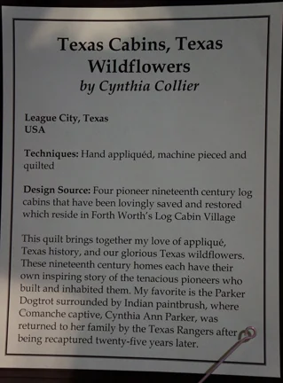 Texas Cabins writeup