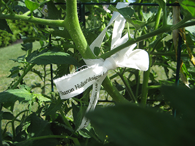 tomato ties 1