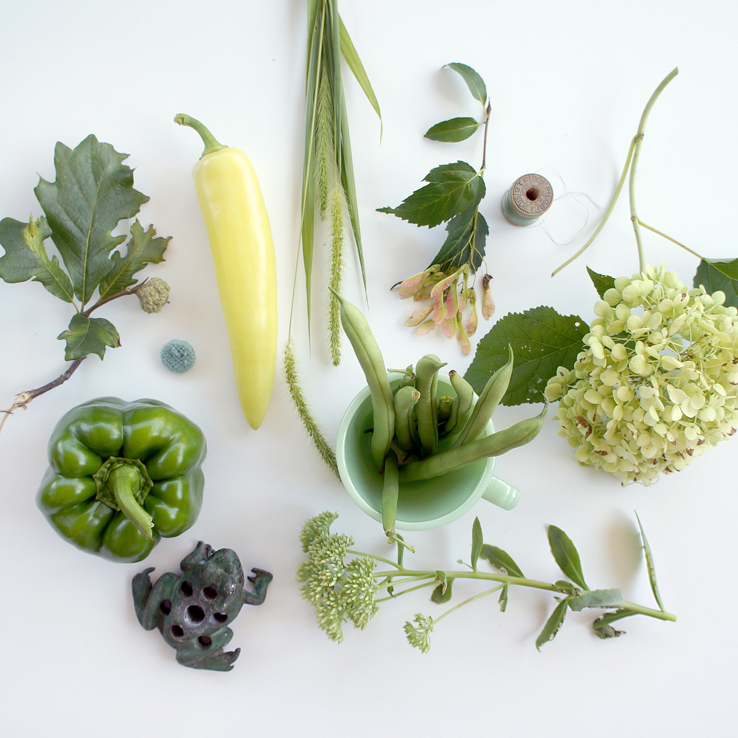 S H nature study no. 5