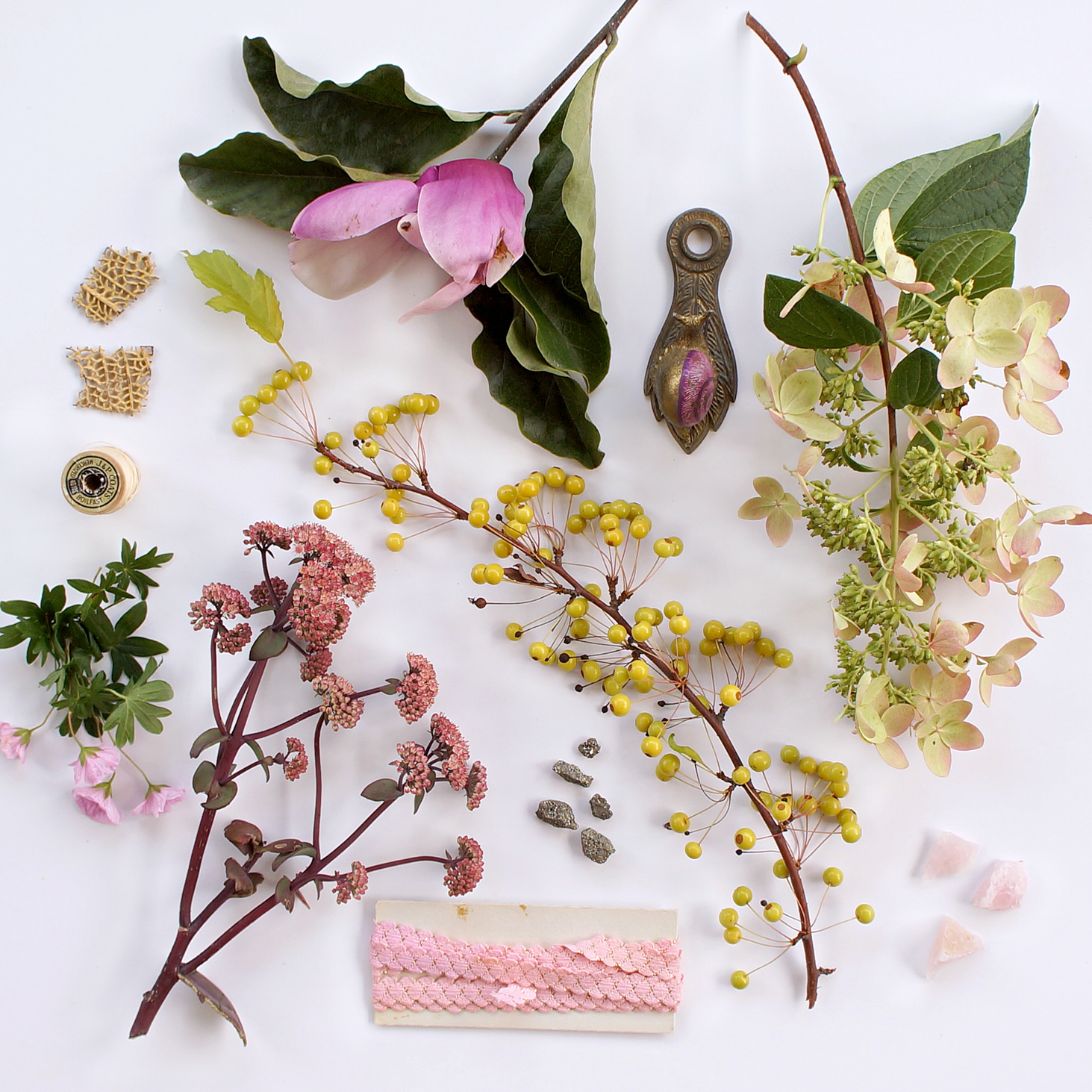 S H nature study no. 9