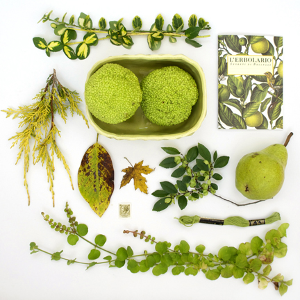 Sharon Holland Nature Study no. 14