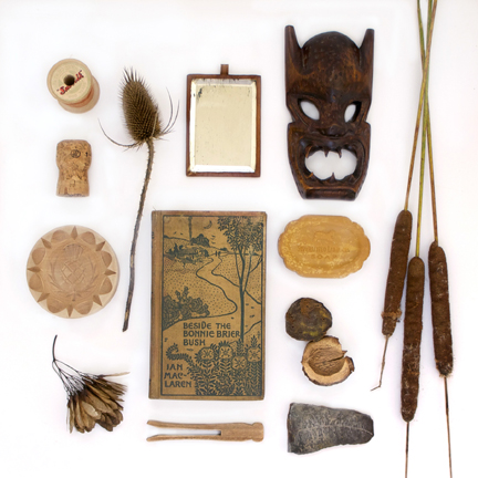 Sharon Holland Nature Study no. 15