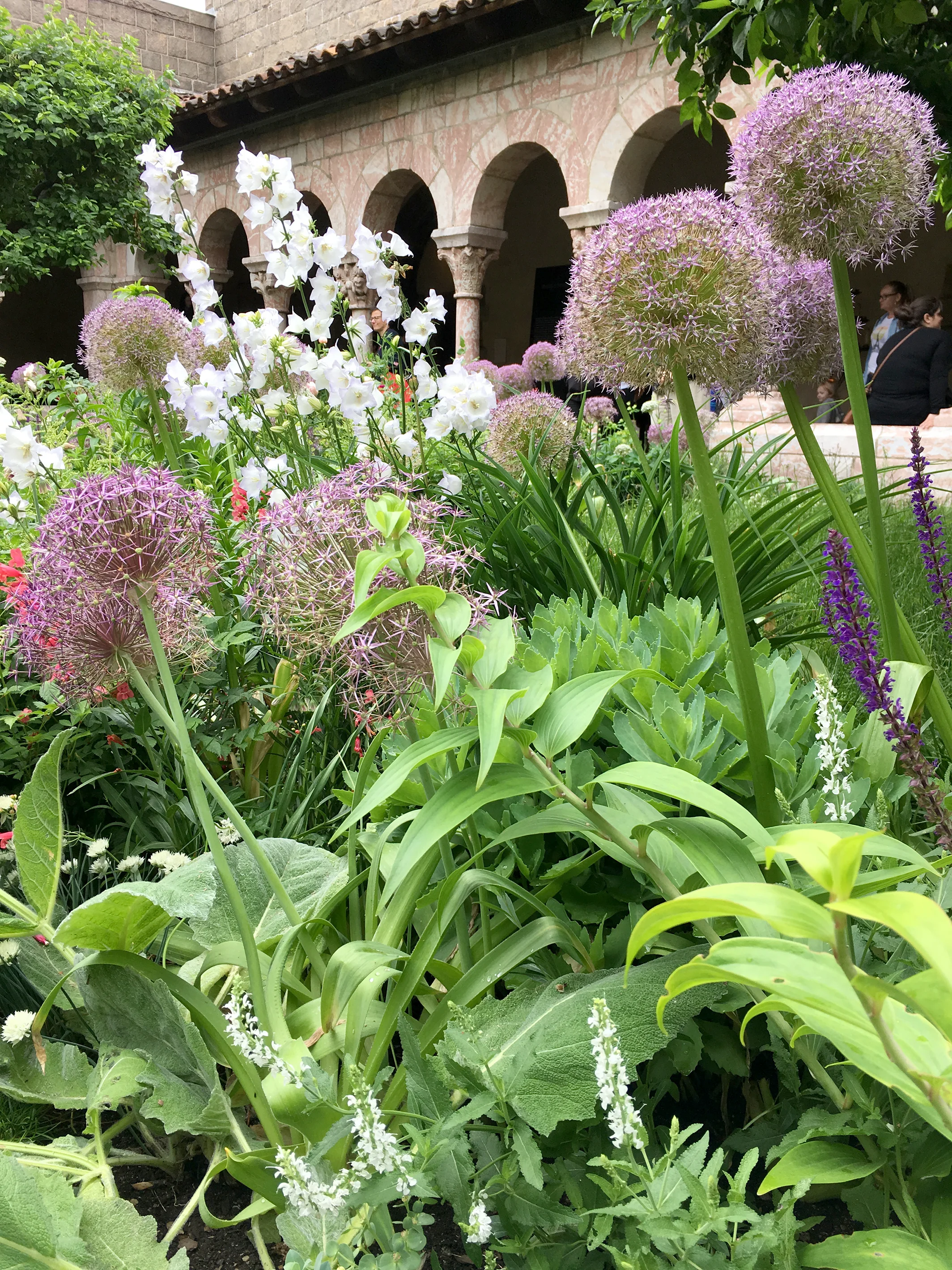 The Judy Black Garden in the Cuxa Cloister