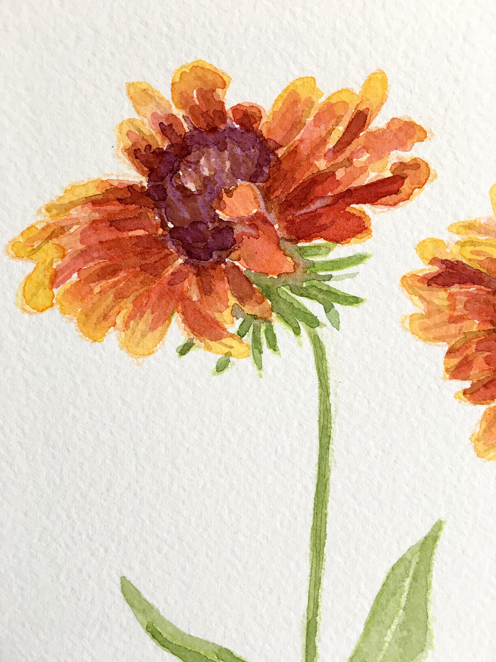 Blanket Flower by Sharon Holland