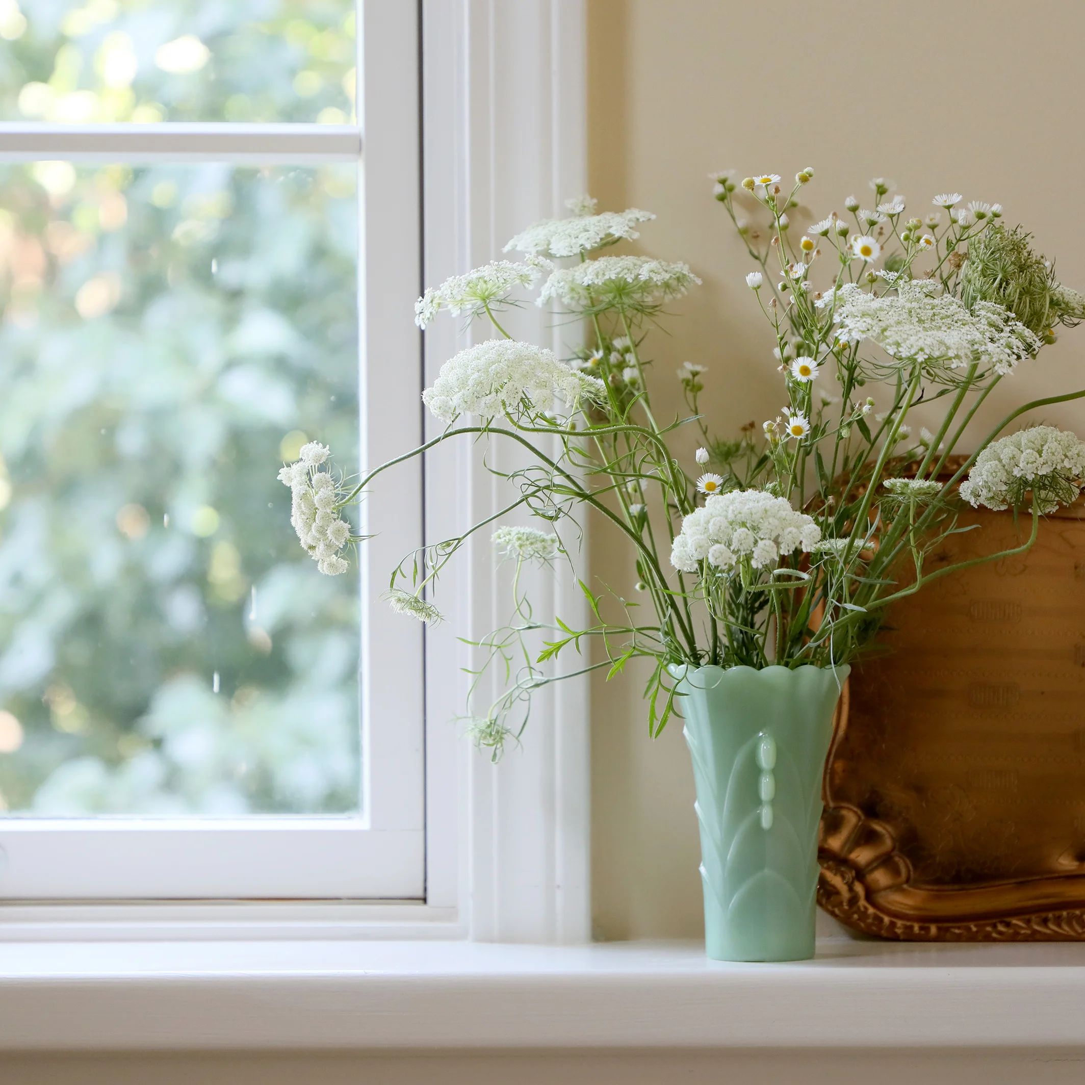 Summer Lace by Sharon Holland