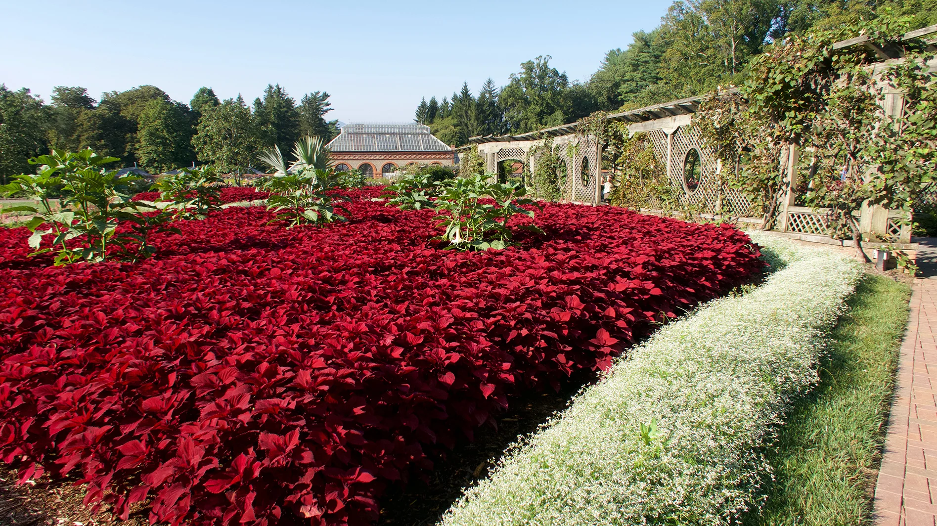 Walled Garden Biltmore Estates