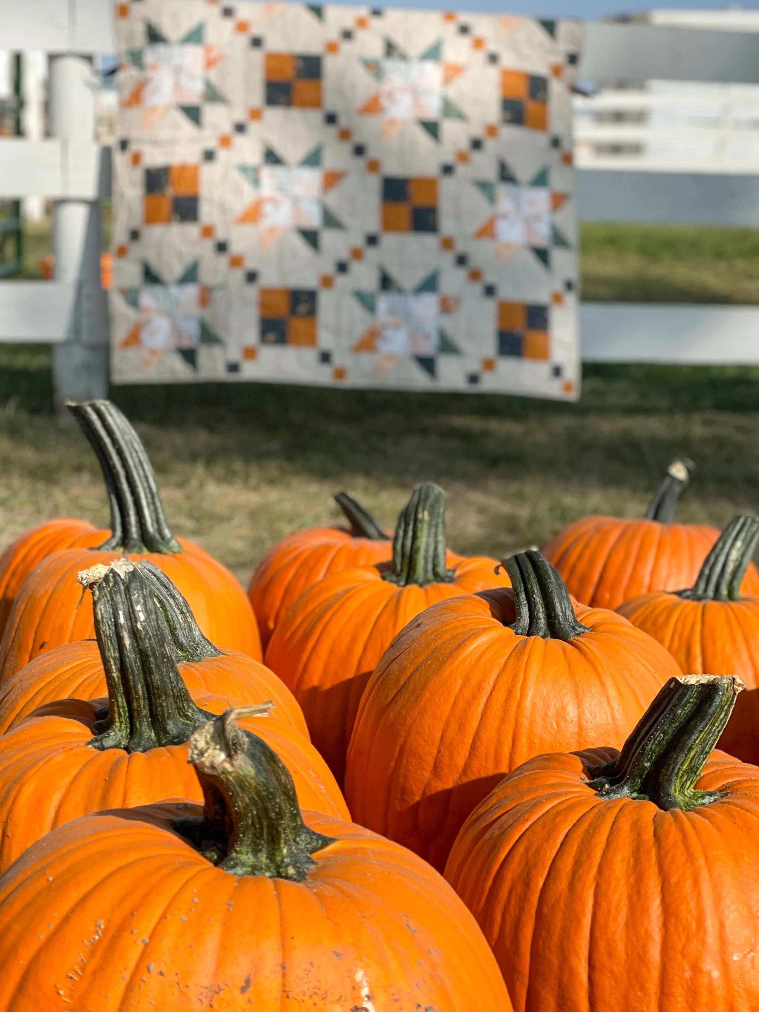 Hesper Quilt_JUniper_Sharon Holland-12.JPG