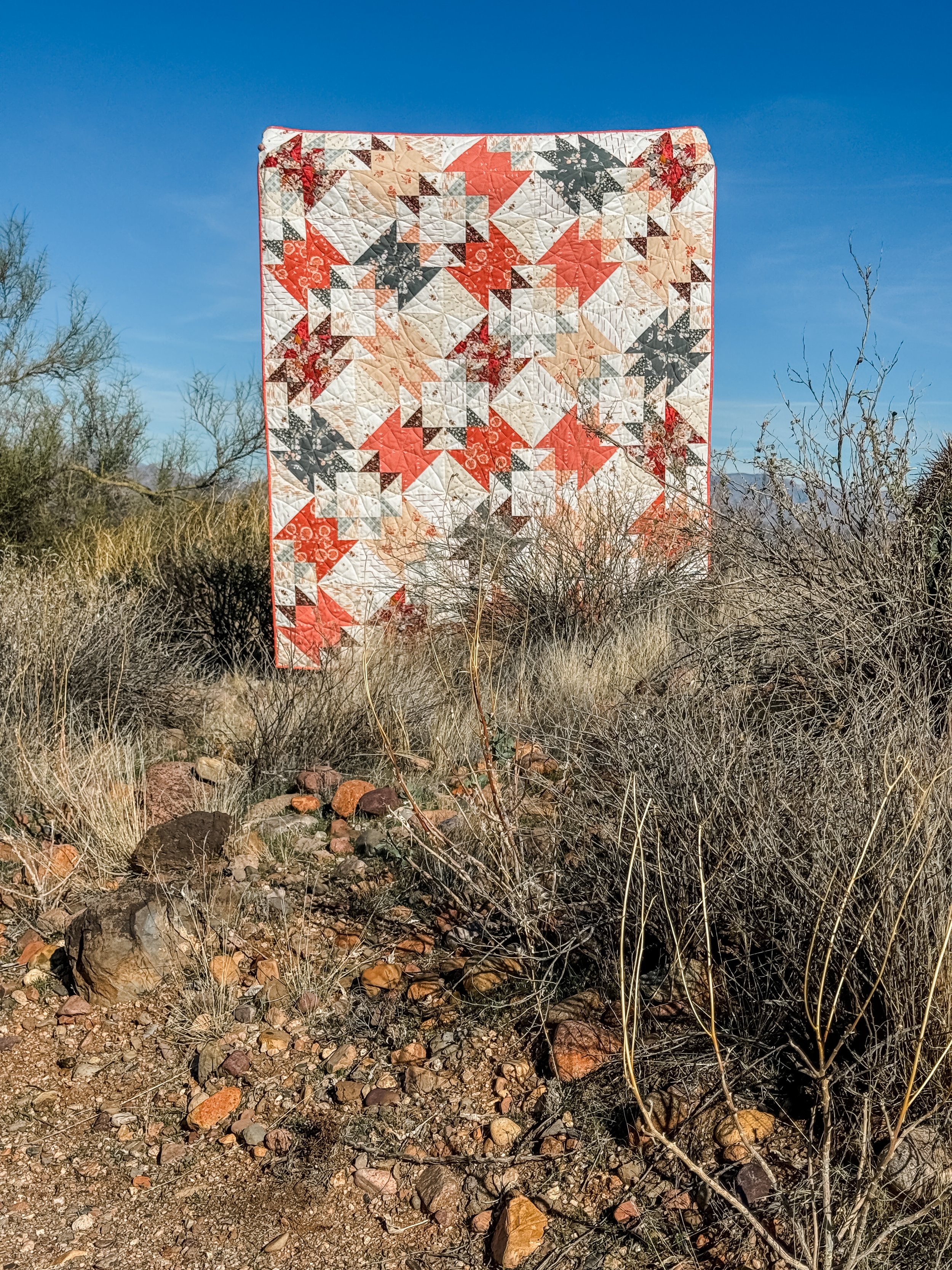 Saguaro in Wild-6.jpg