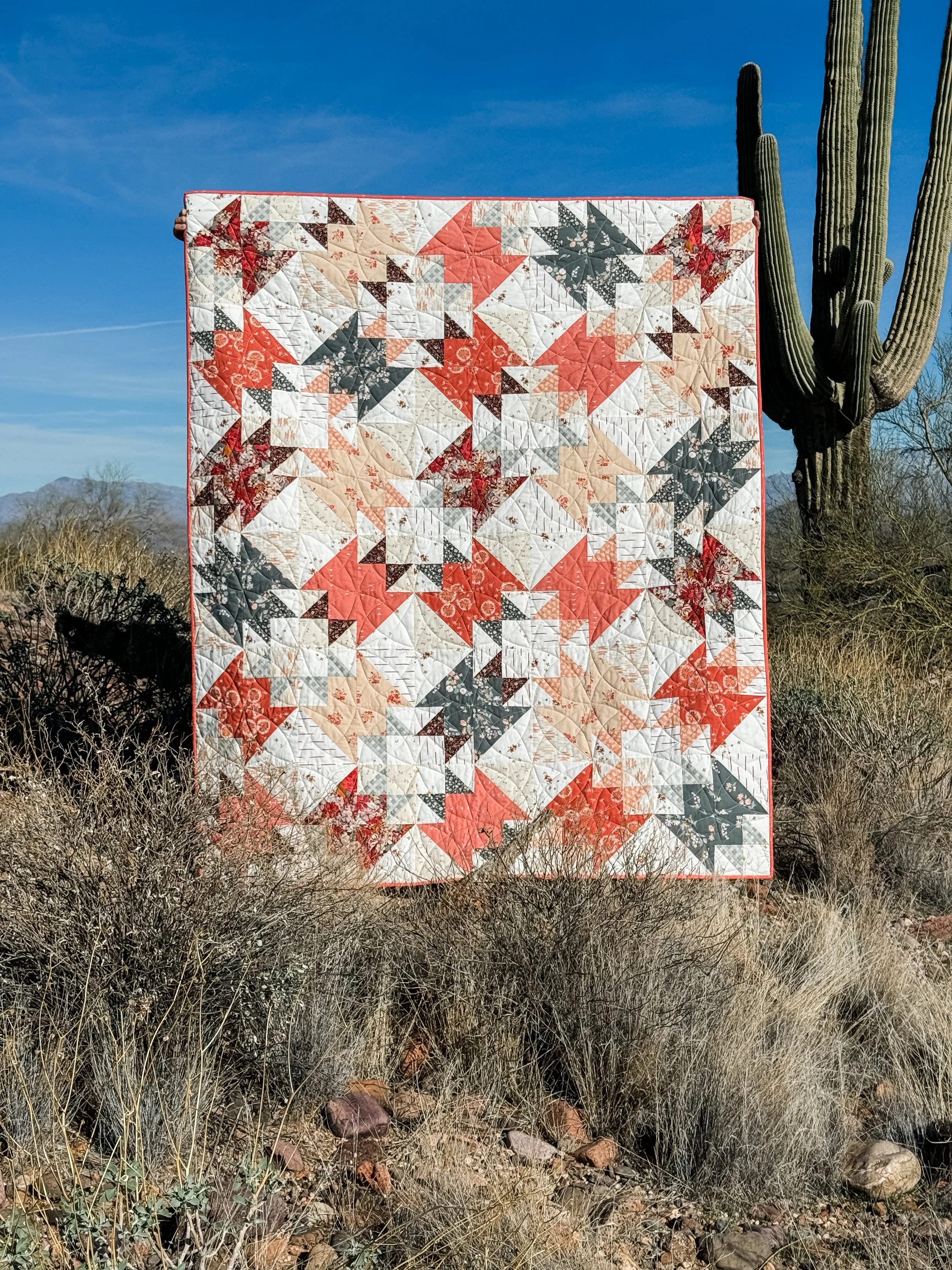 Saguaro in Wild-8.jpg