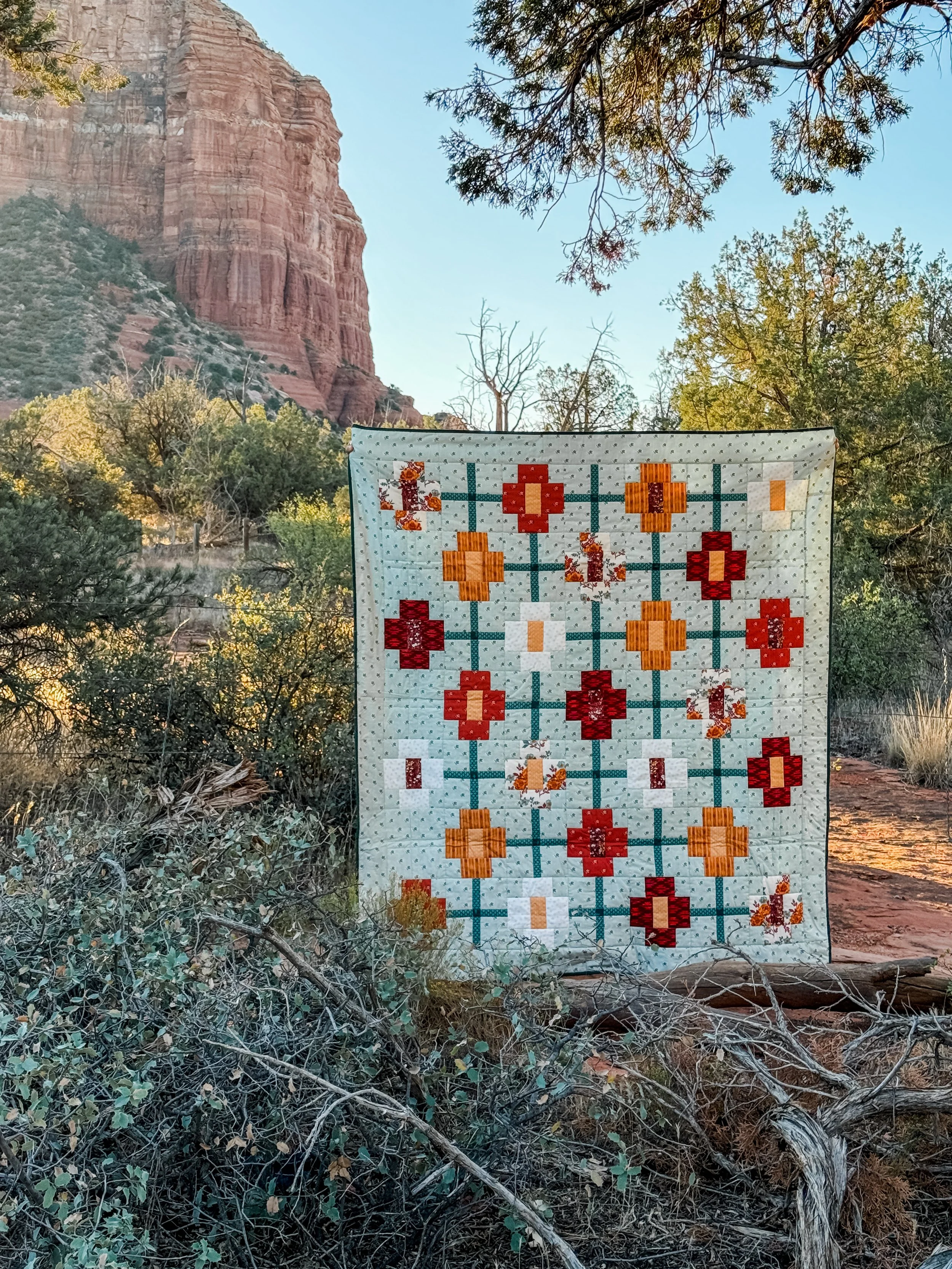 Prairie Sundrop_Tumbleweed_Sedona-2.jpg