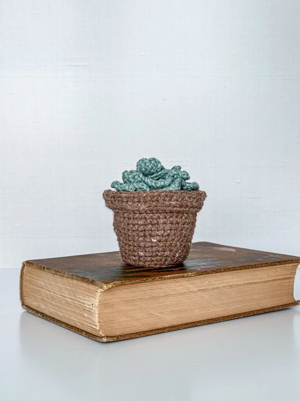 Amigurumi Succulents-12.jpg