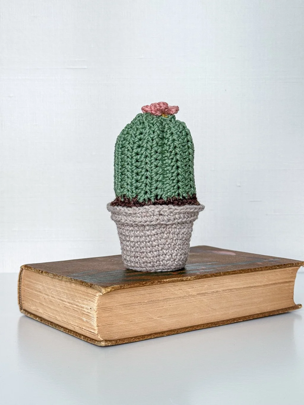 Amigurumi Succulents-05.jpg
