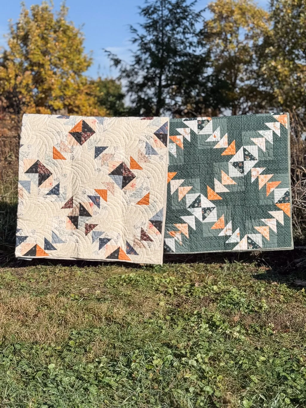 2 Chicago Geese Quilts on Fence-2.jpg