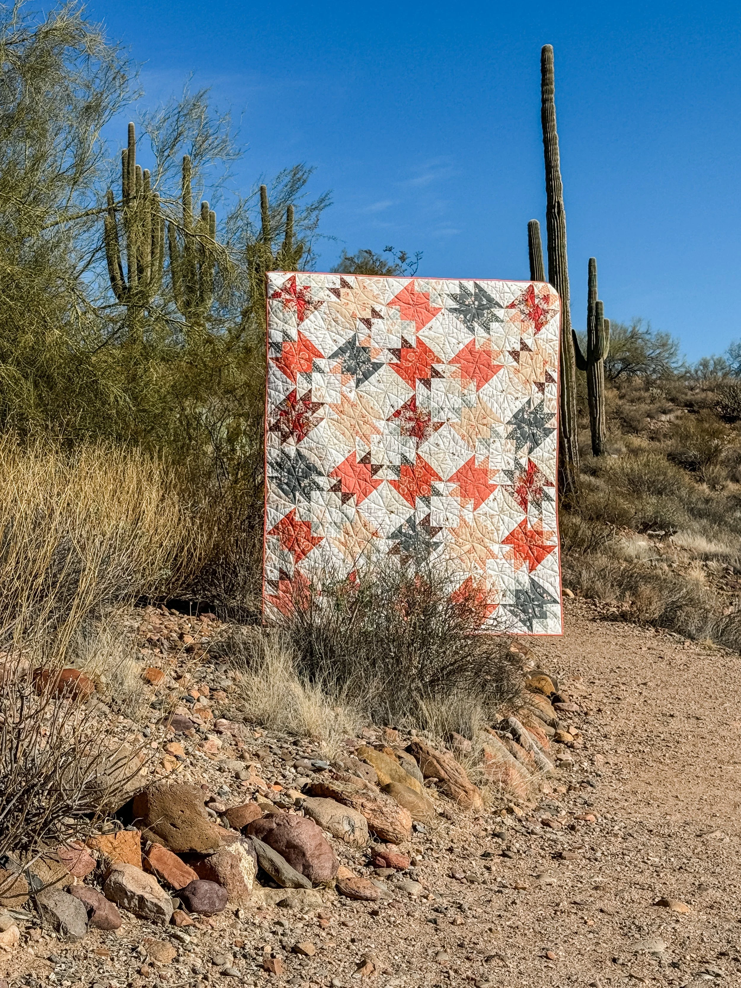 Saguaro in Wild-9.jpg