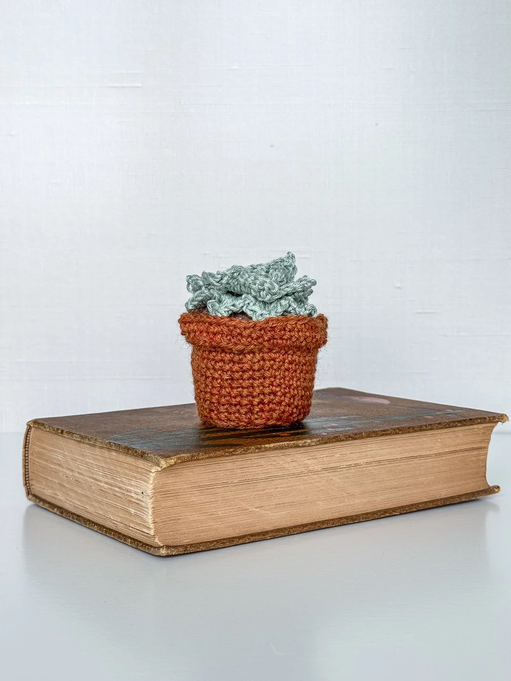 Amigurumi Succulents-16.jpg