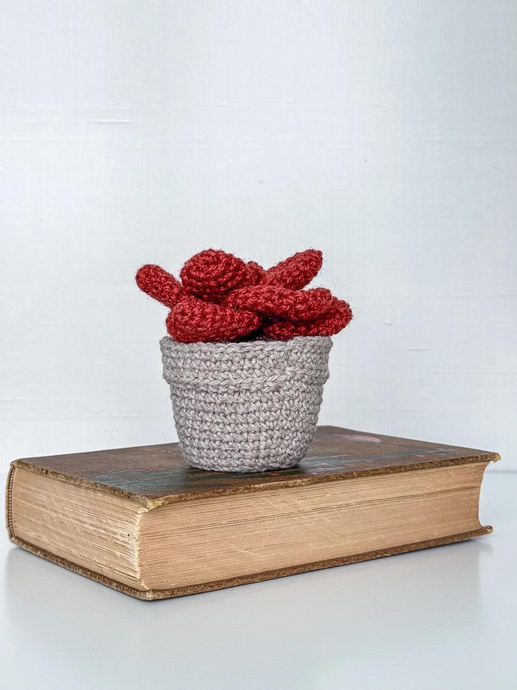 Amigurumi Succulents-10.jpg