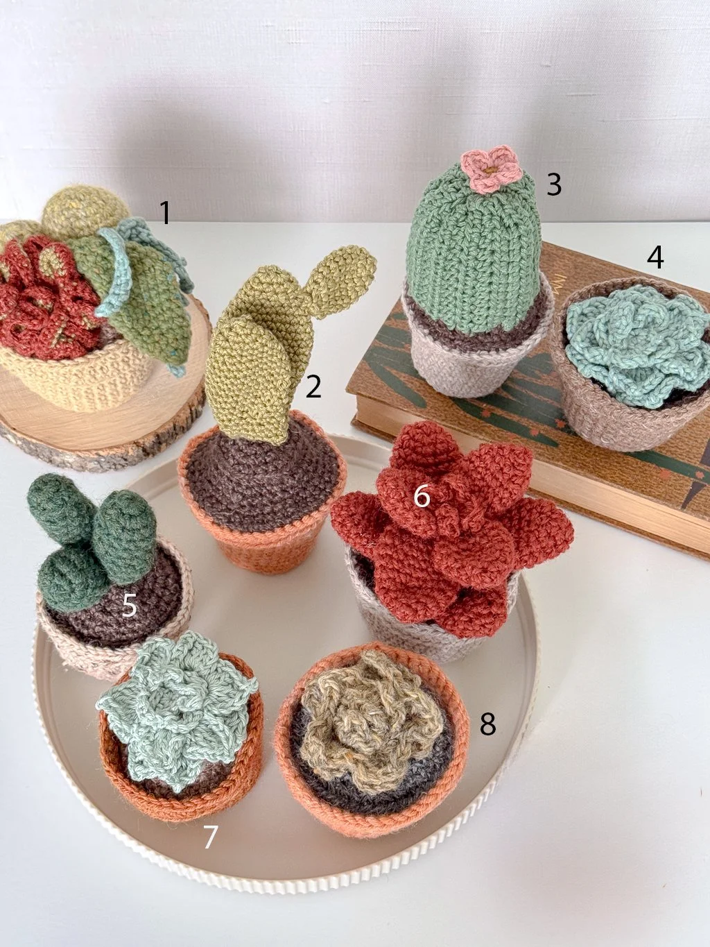 Amigurumi Succulents-4.jpg