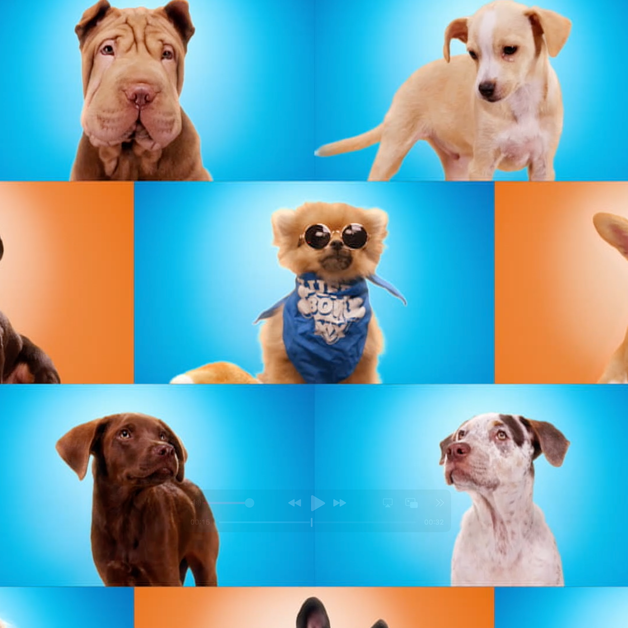 Screenshot 2025-10-28 at 3.07.46 PM.png