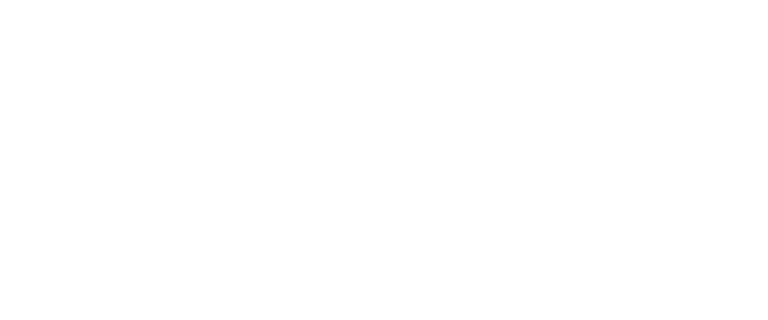 STELLA RICHES WEB LOGO.png
