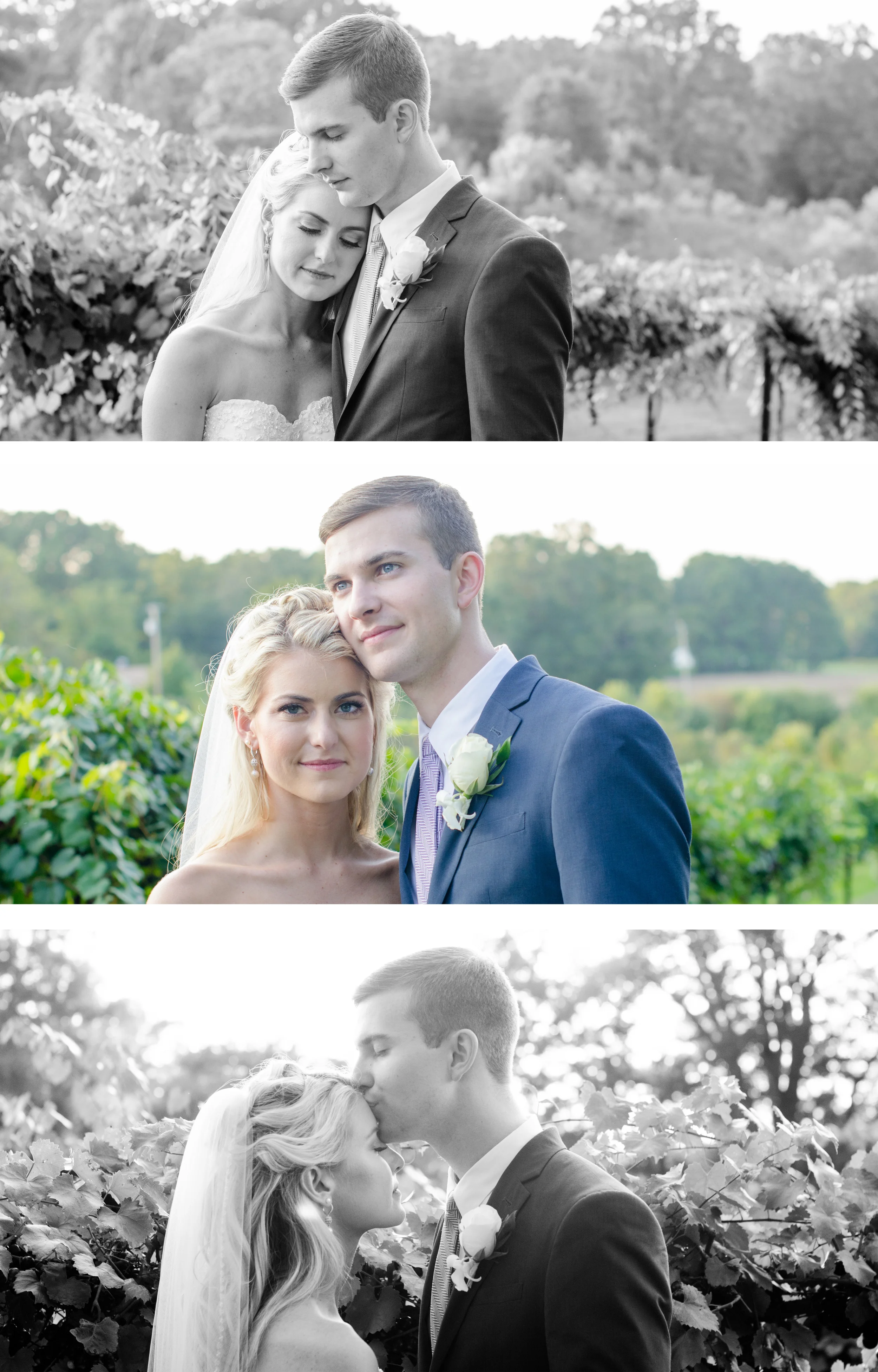 I snuck the new Mr. & Mrs. away for some cuddling in the vineyards.