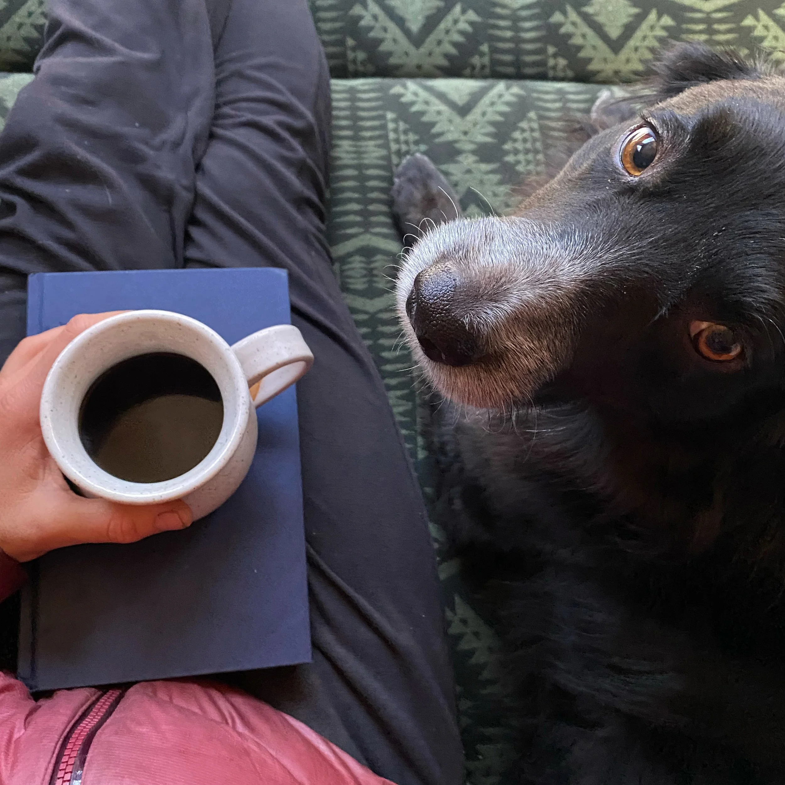THE HOUSE ON THE CERULEAN SEA