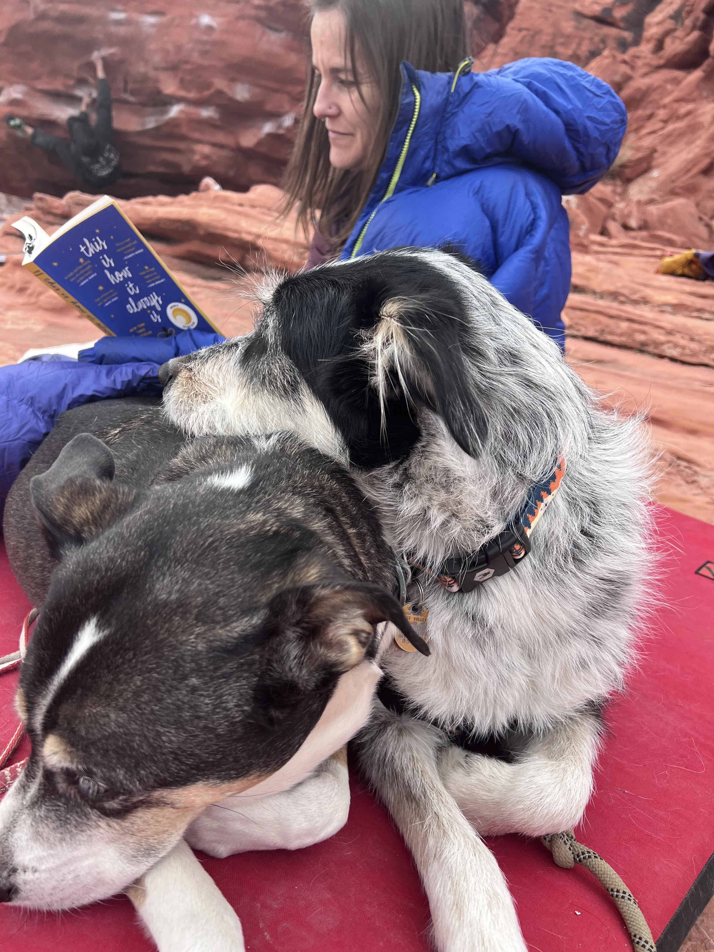 THIS IS HOW IT ALWAYS IS