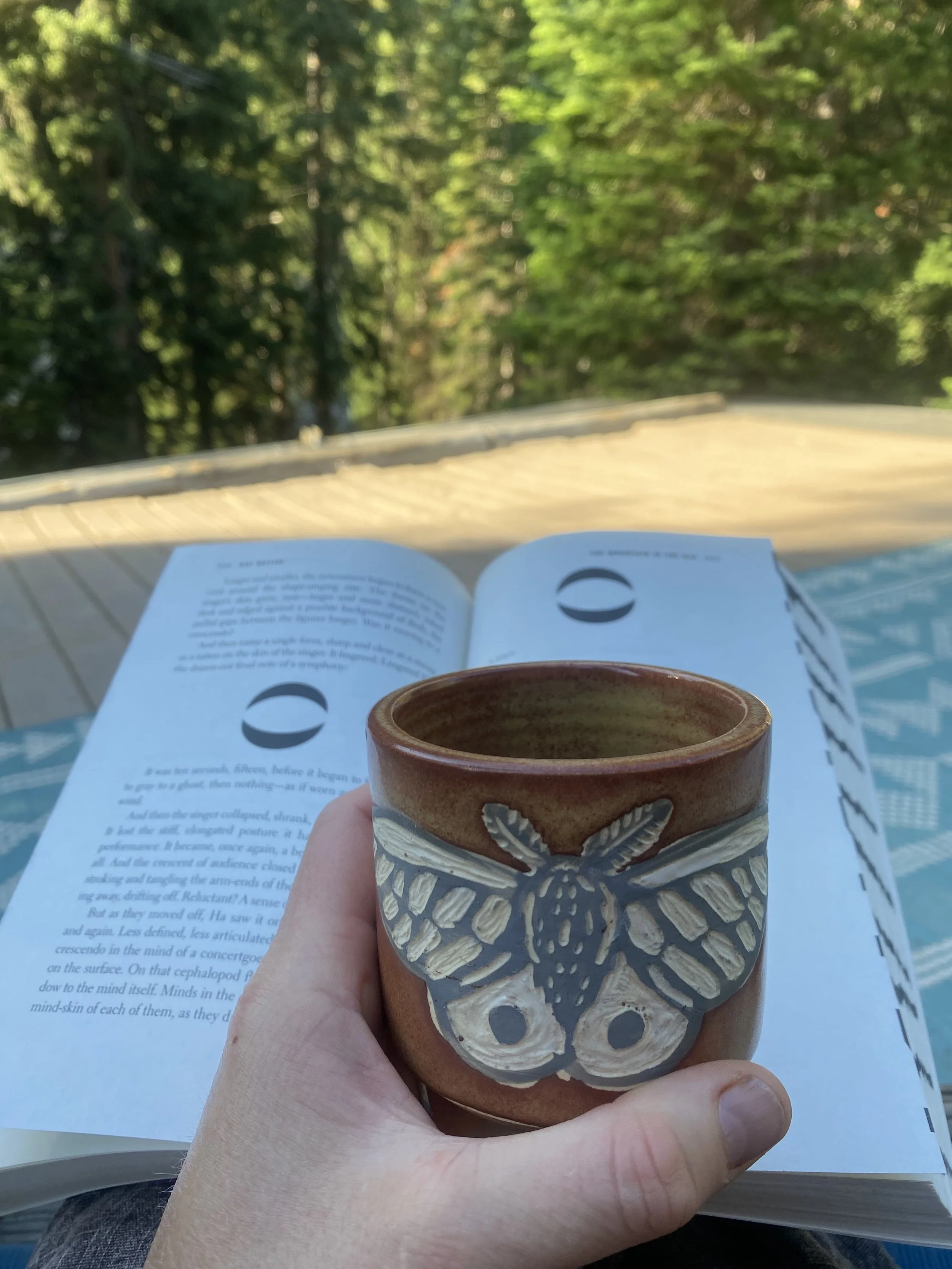 THE MOUNTAIN IN THE SEA