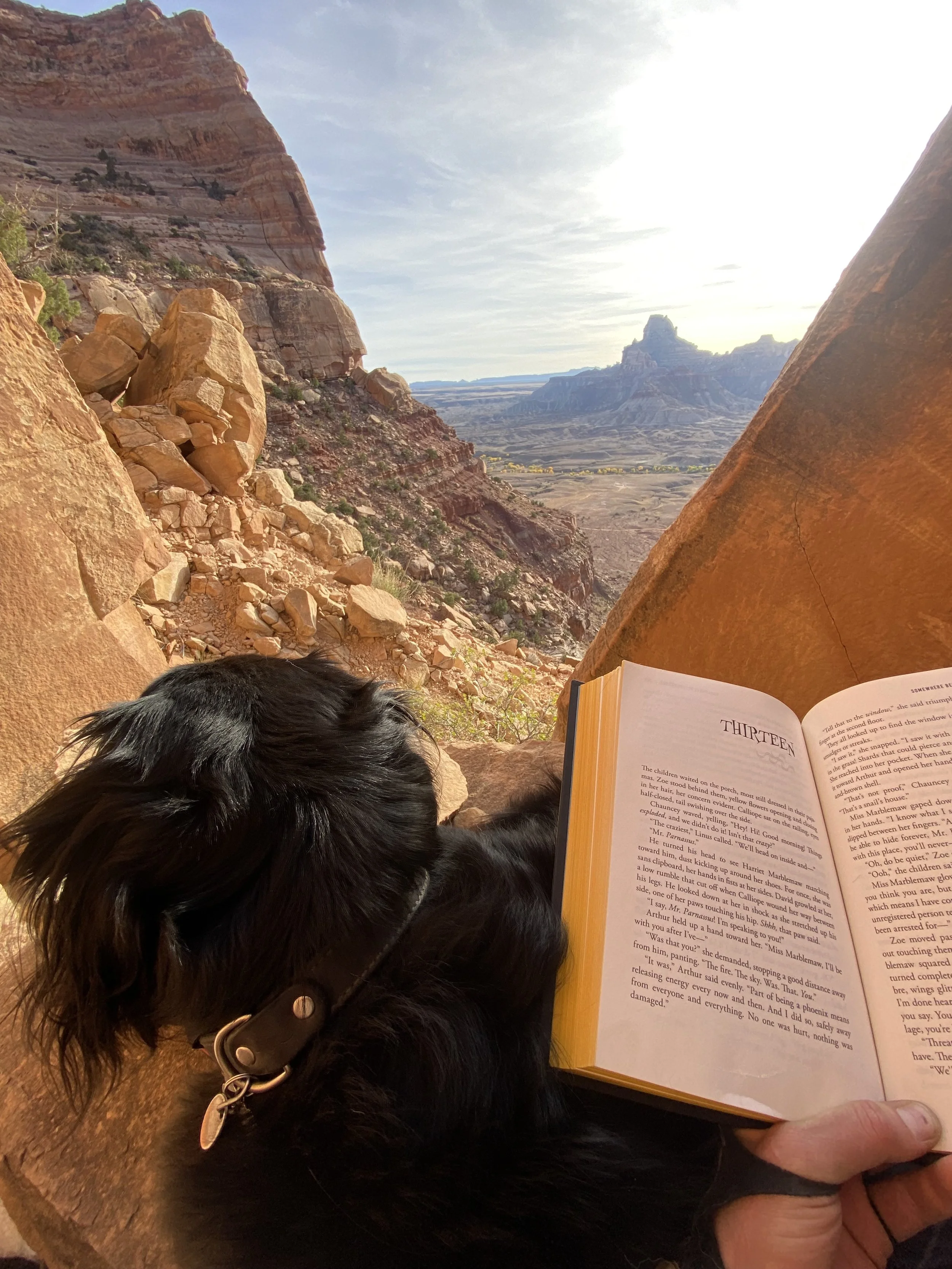 SOMEWHERE BEYOND THE SEA