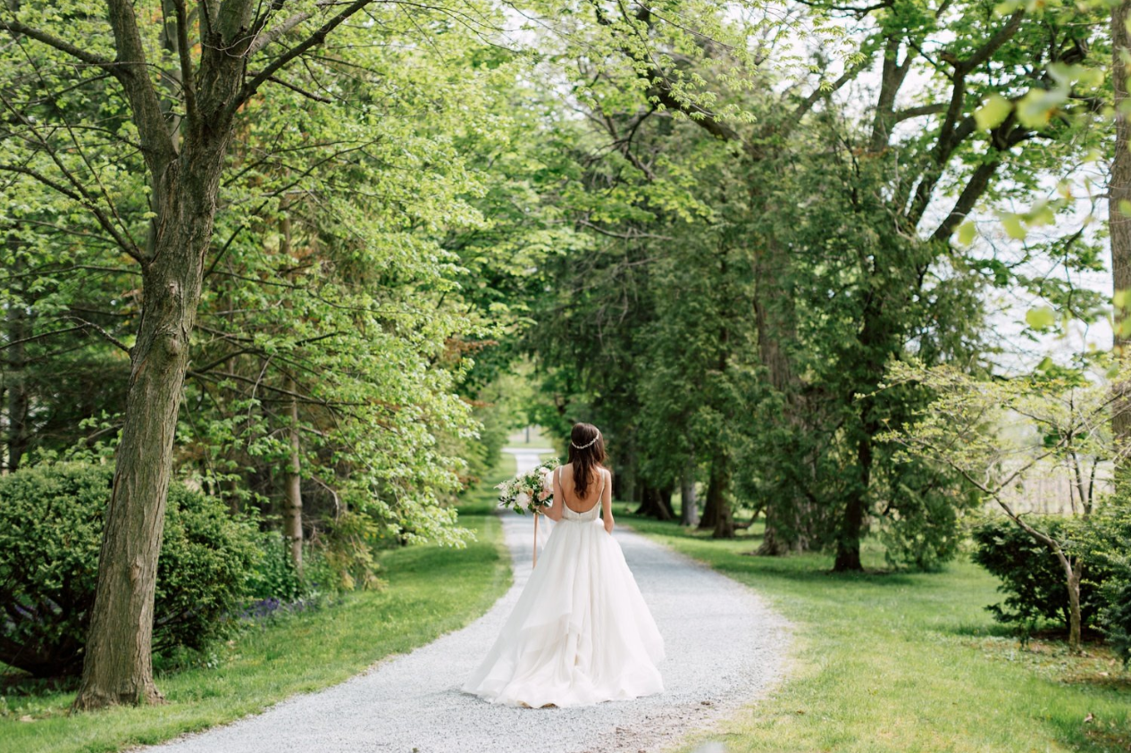 Screen Shot 2017-02-14 at 10.55.41 AM.png