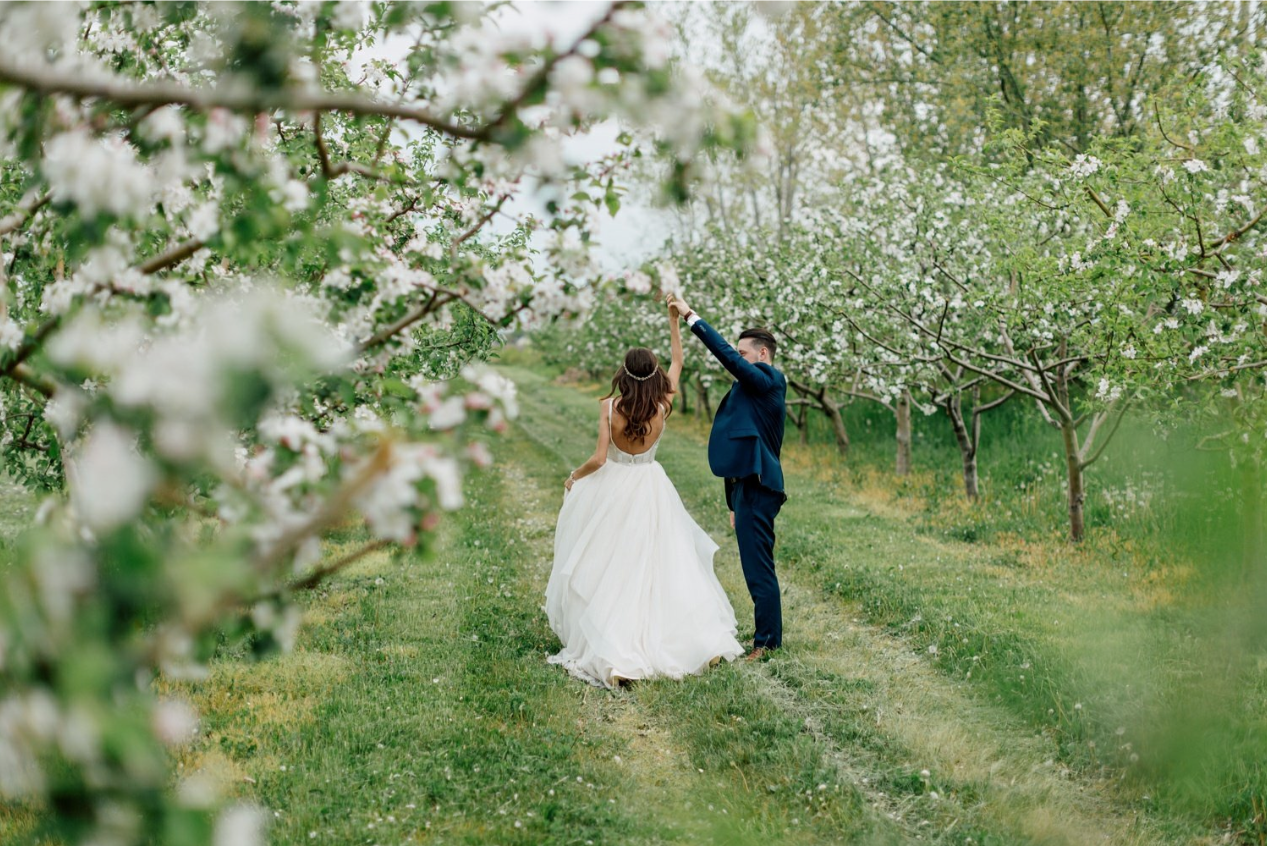 Screen Shot 2017-02-14 at 10.56.44 AM.png