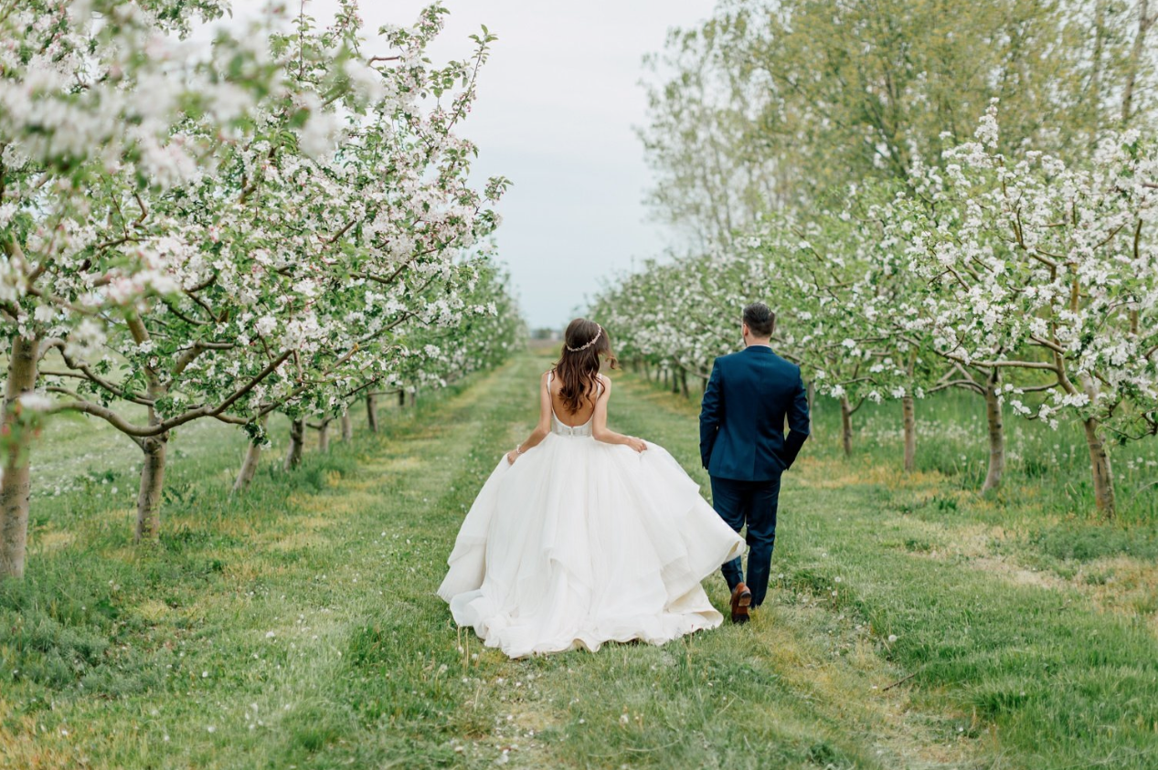 Screen Shot 2017-02-14 at 10.56.52 AM.png