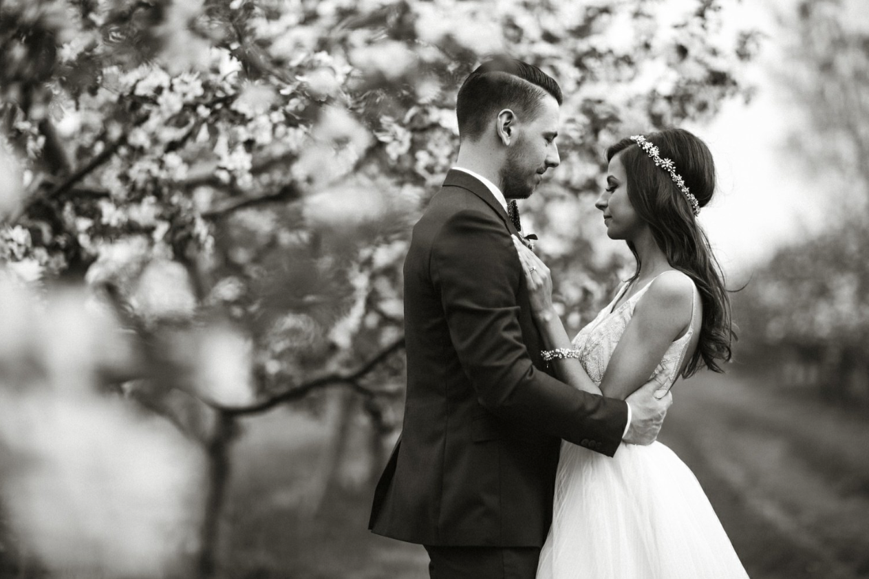 Screen Shot 2017-02-14 at 11.01.01 AM.png