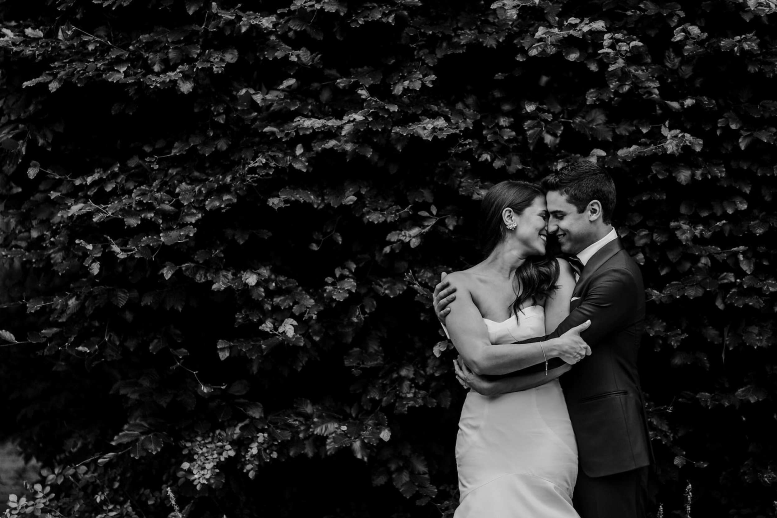 Screen Shot 2017-12-05 at 10.21.55 AM.png