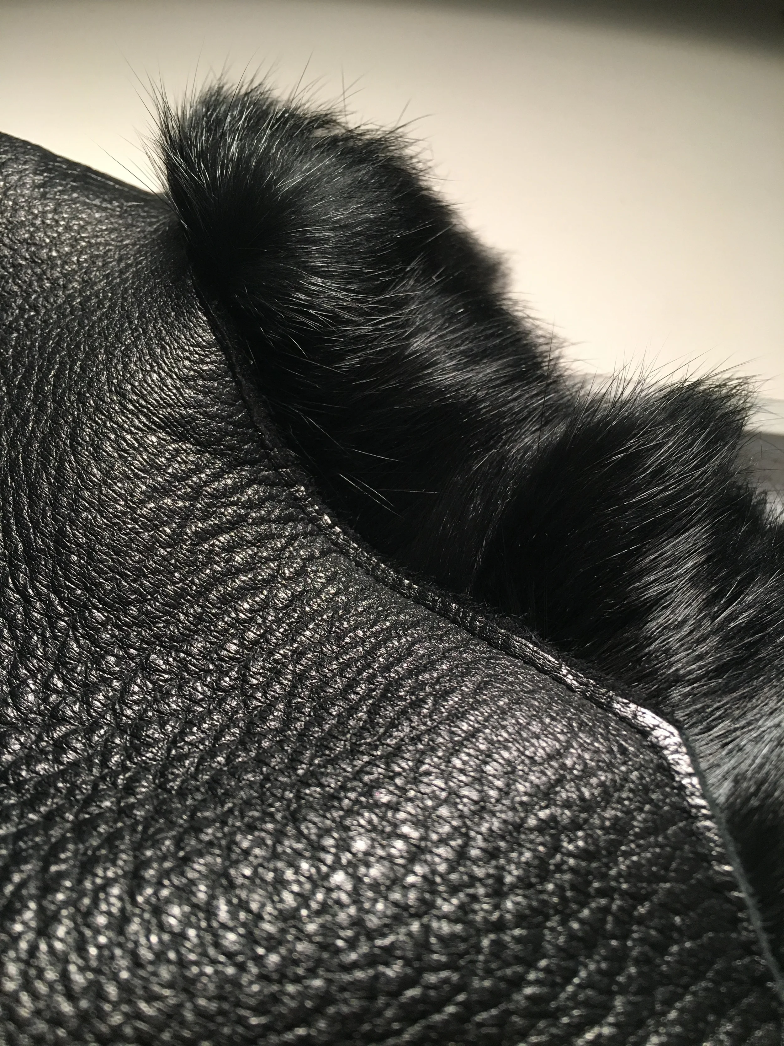 Fur Close Up.jpg
