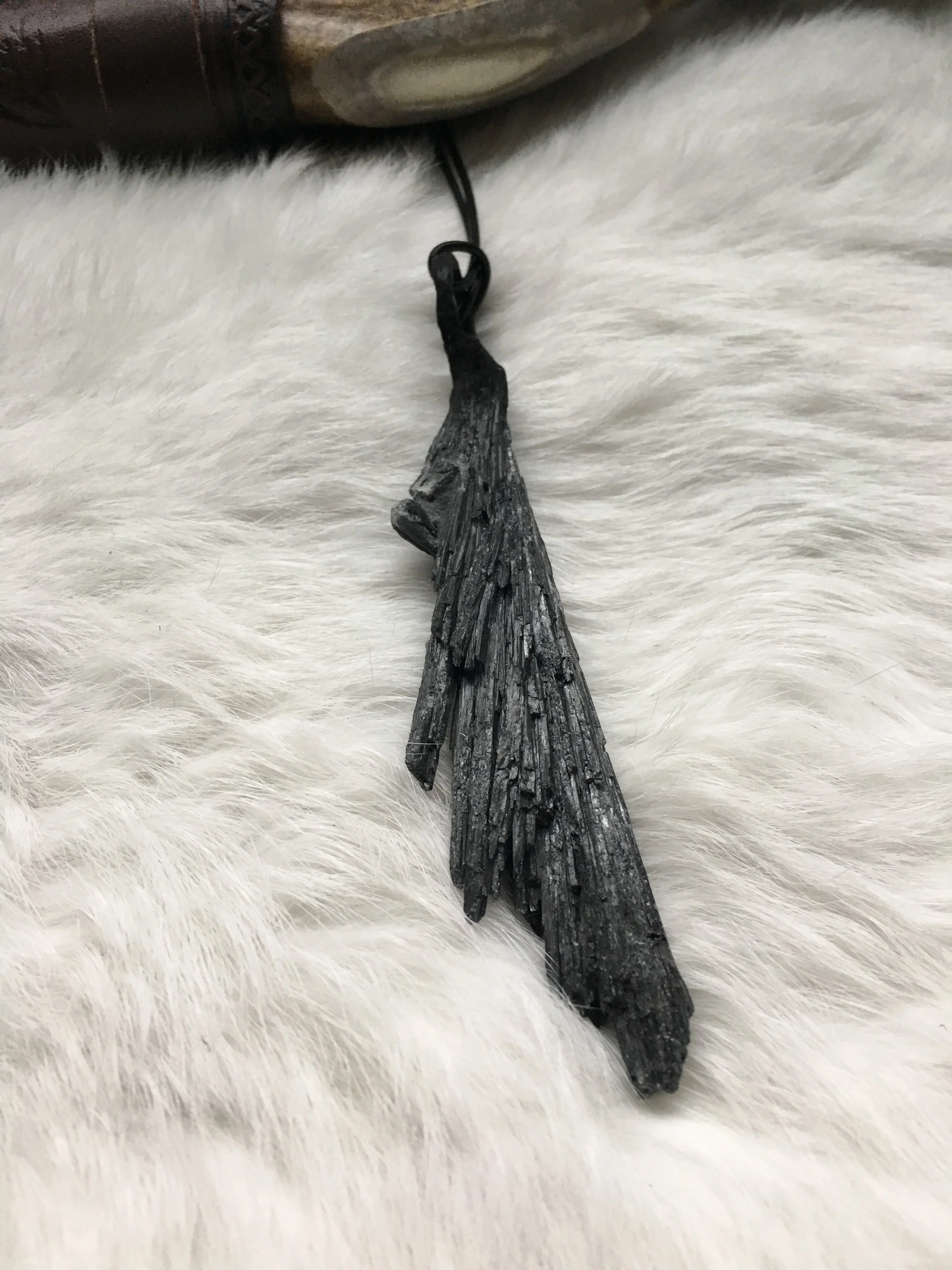 White Background 2.jpg