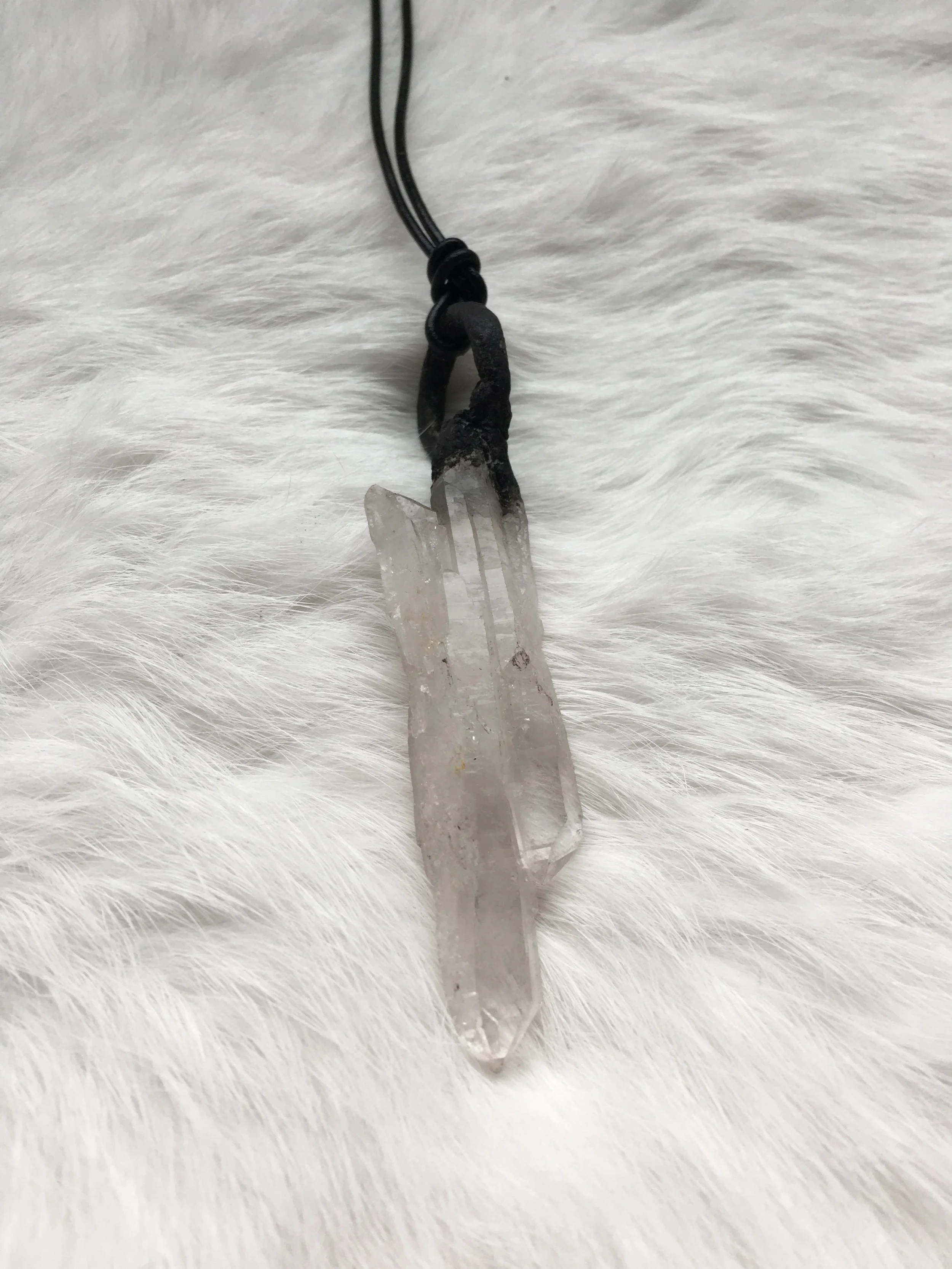 Closeup White Background 1.jpg