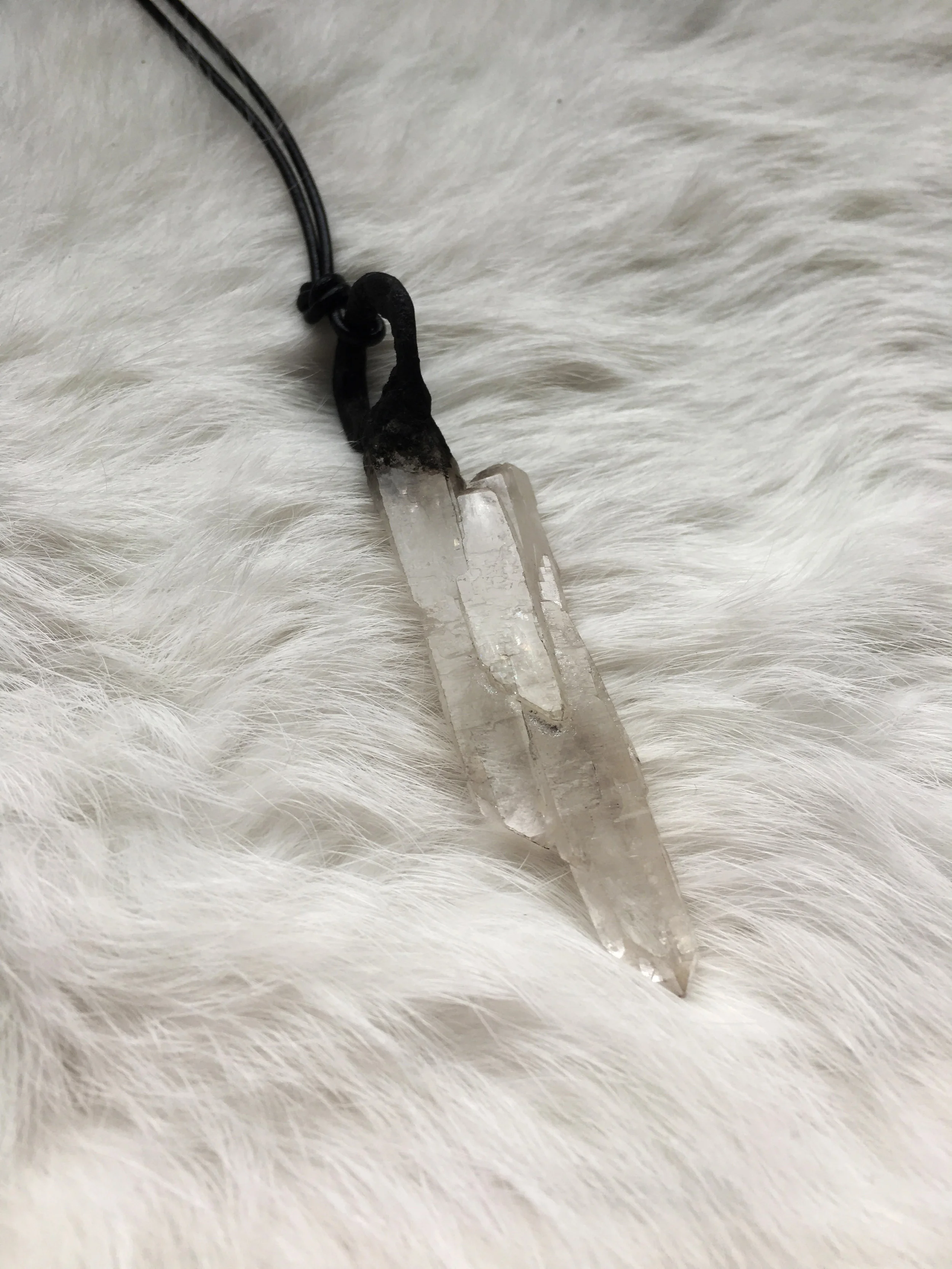 Closeup White Background 4.jpg